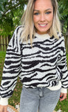 PULL ZEBRE